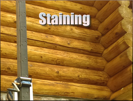  Fargo, Georgia Log Home Staining